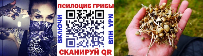 Псилоцибиновые грибы мухоморы Семилуки